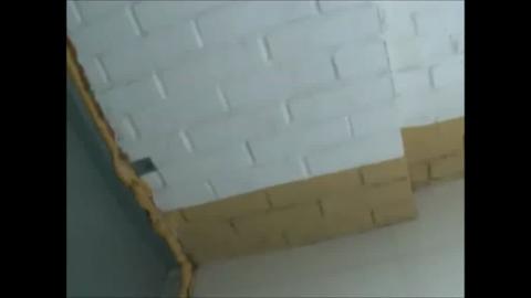 7975