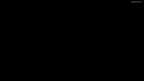 13306