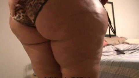 3663
