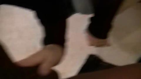 29533